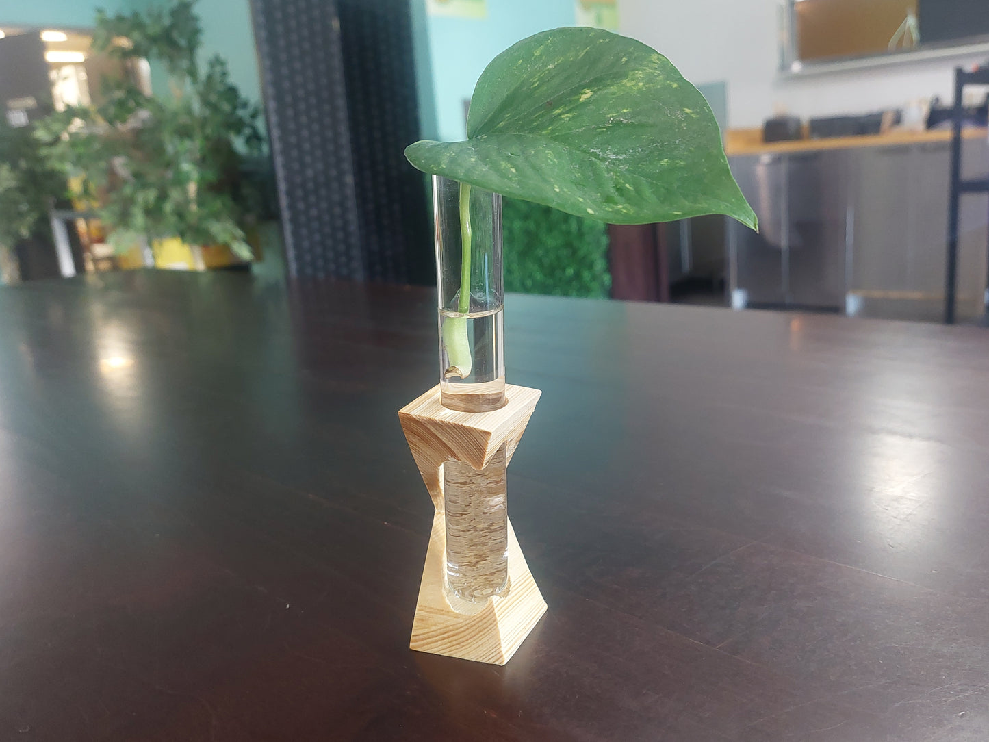 Small Wooden Vases