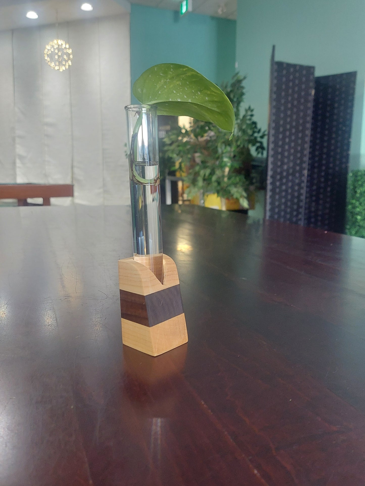 Small Wooden Vases