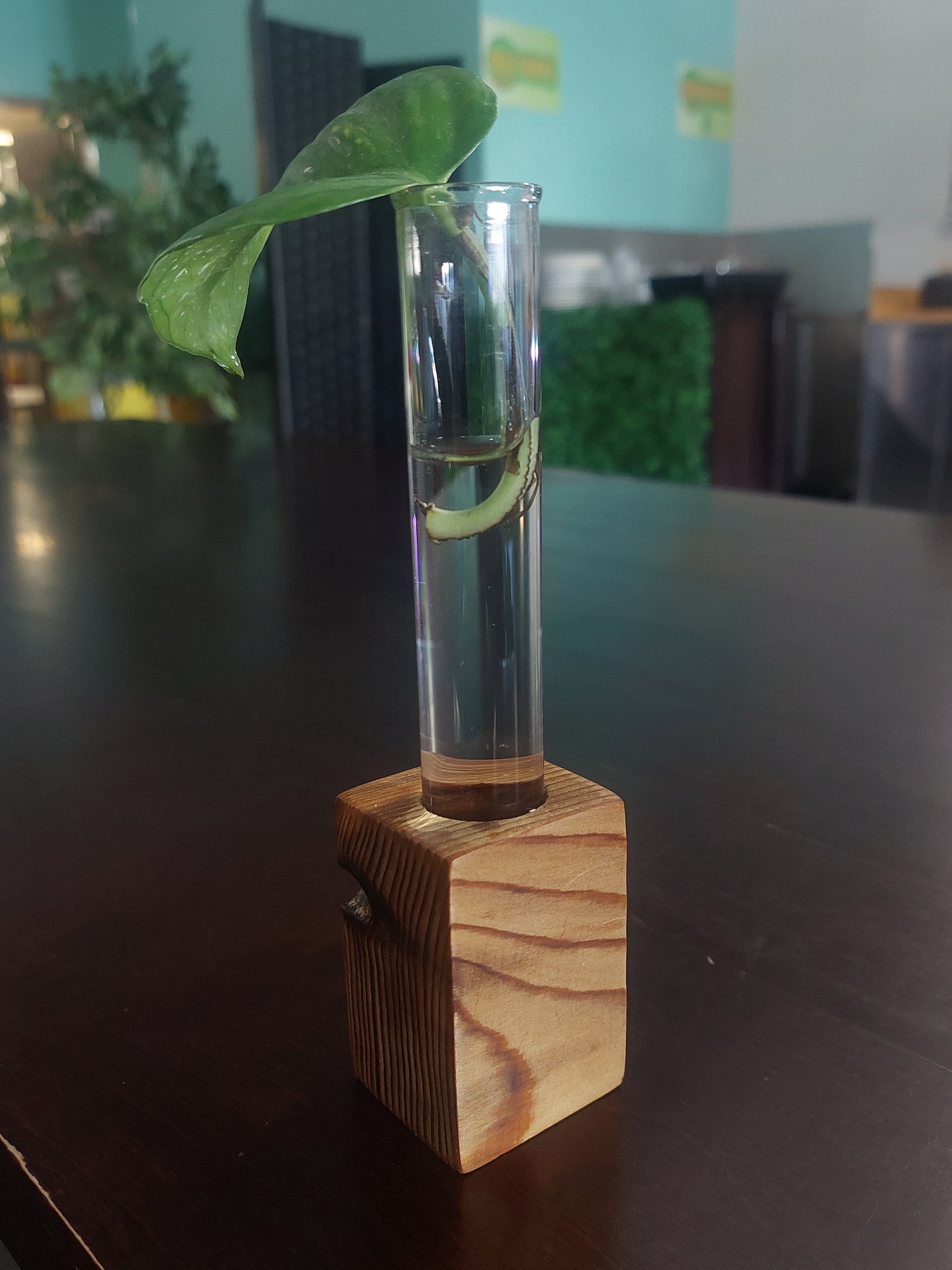Small Wooden Vases