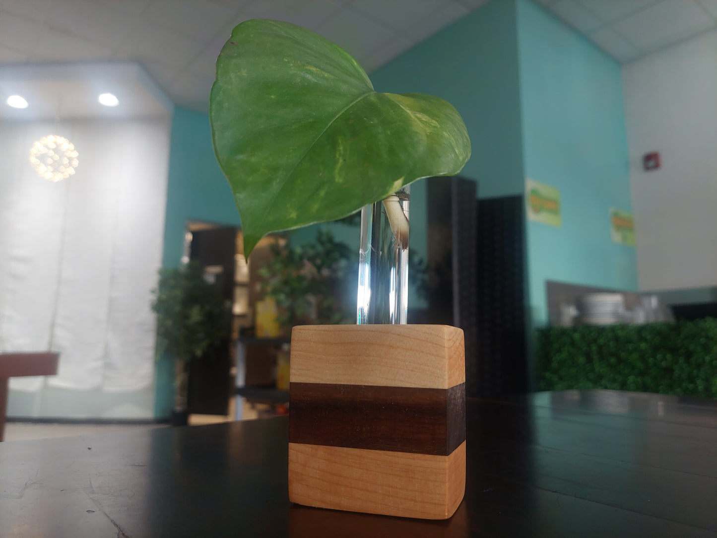 Small Wooden Vases