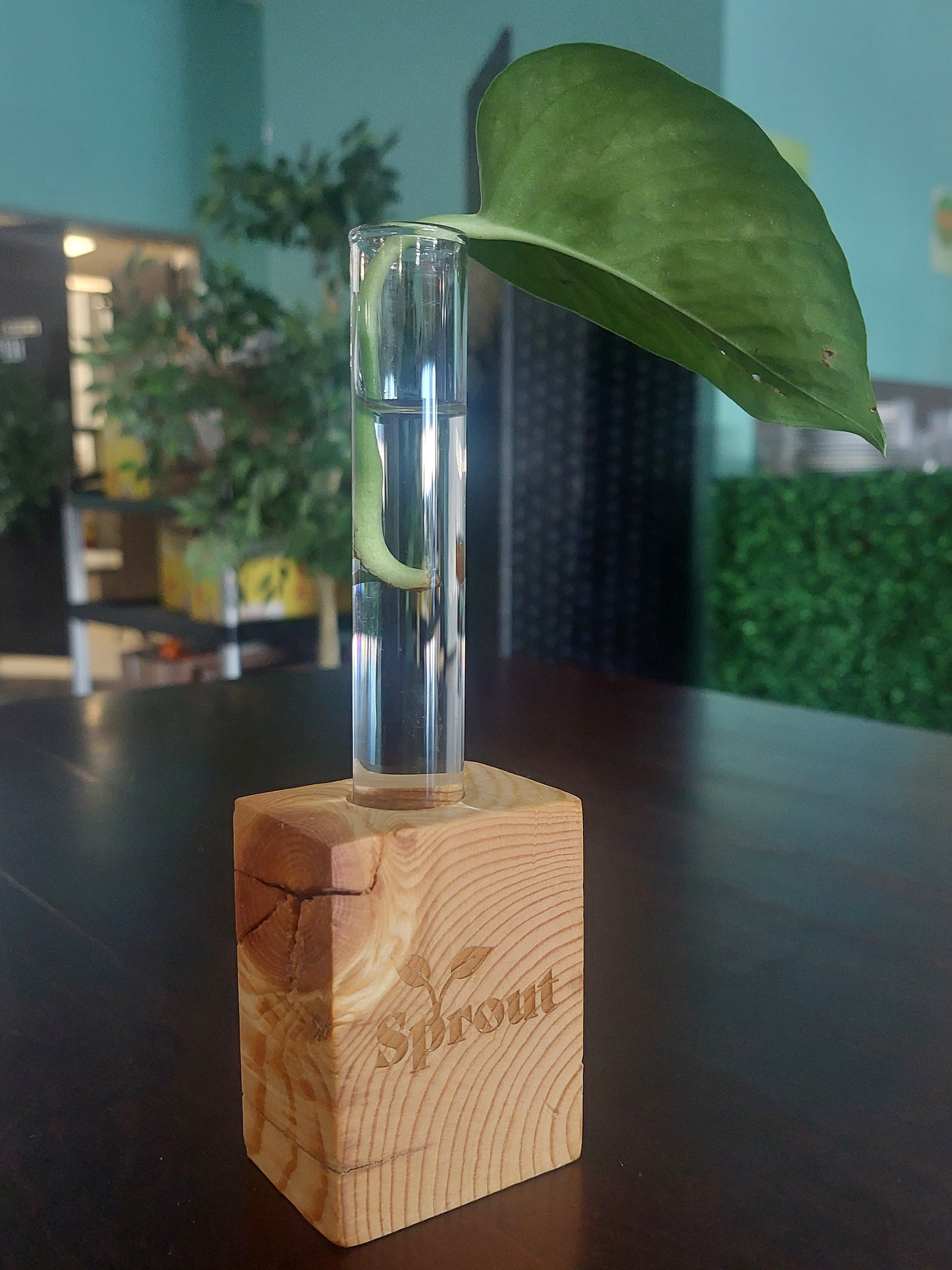 Small Wooden Vases