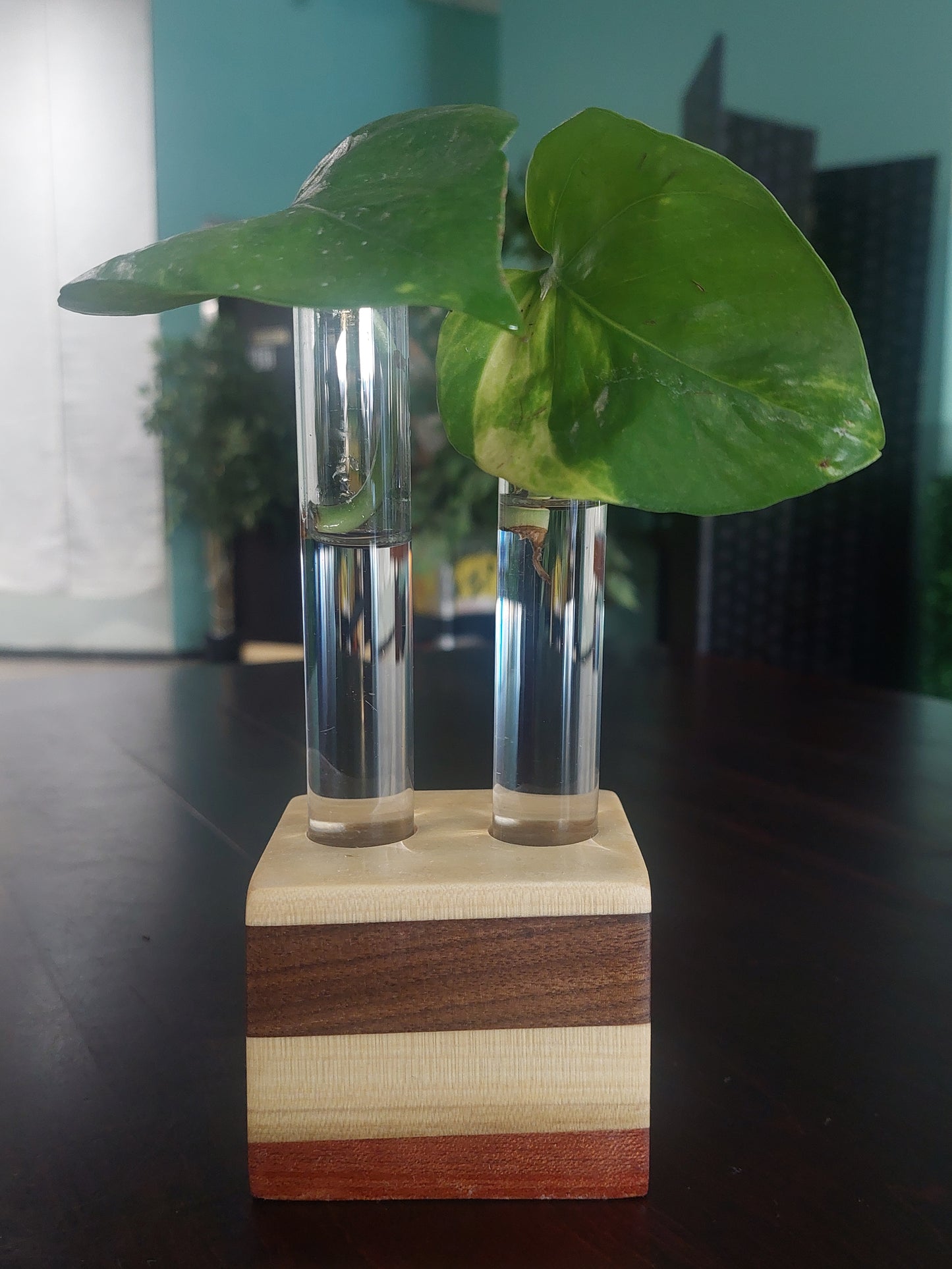 Medium Wooden Vases