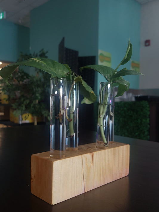 Large Wooden Vases